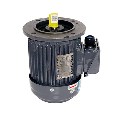 AEVF 1HP 0.75KW 4P東元電機(jī)